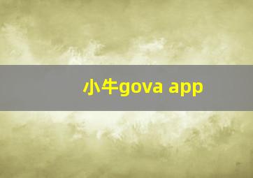 小牛gova app